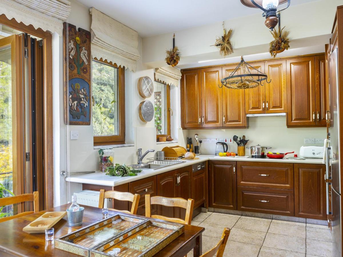 Troodos Riverside Cottage Kato Amiandos Dış mekan fotoğraf